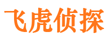 璧山市侦探调查公司